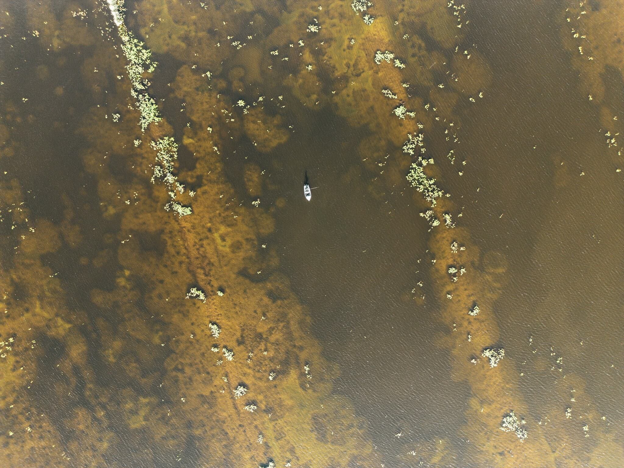 vadvizi-to-green-heaven-lake-a-torol Green Heaven Lake 7-es állás napfényben