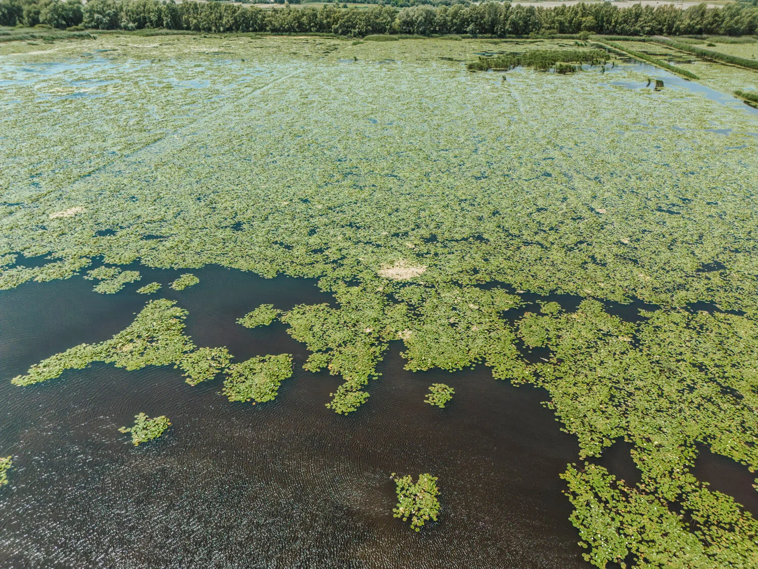 green-heaven-lake-1-es-allas-11